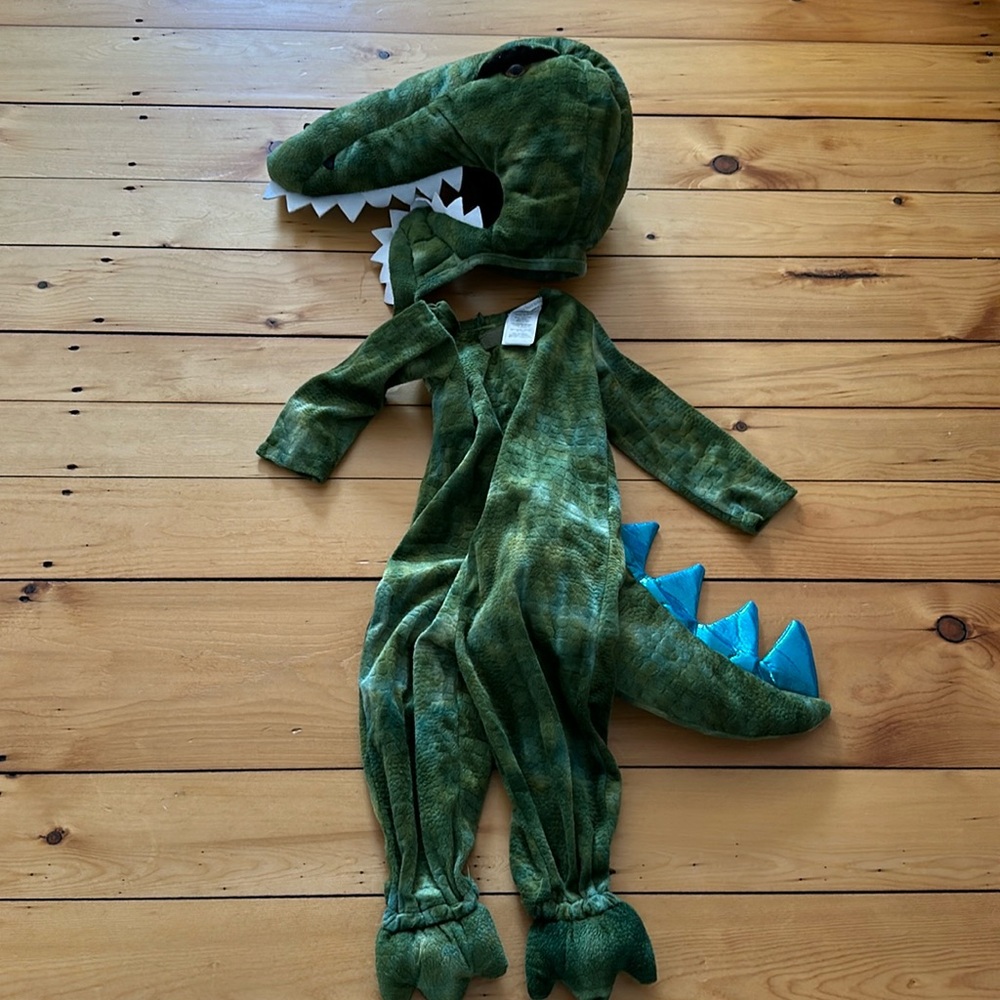 Pottery barn dinosaur costume 2T
